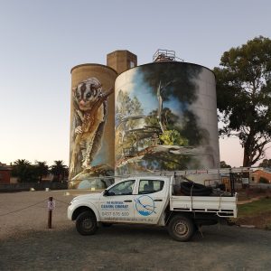 Watertank Cleaning Company
